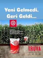 Truva Silajlık Mısır Tohumu