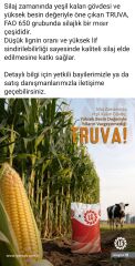 Truva Silajlık Mısır Tohumu