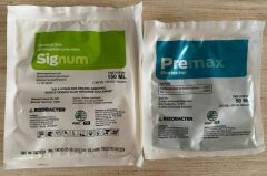 Signum Premax Soya Bakterisi