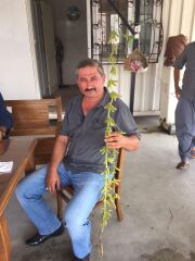 Arısoy Danelik Soya Tohumu 25 Kg