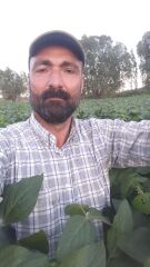 Arısoy Danelik Soya Tohumu 25 Kg