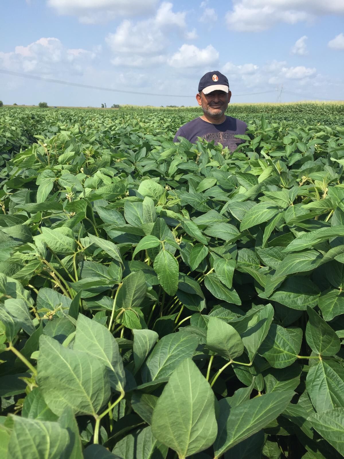 Arısoy Danelik Soya Tohumu 25 Kg