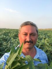 Arısoy Danelik Soya Tohumu 25 Kg