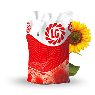 LG 50.585 Yağlık Ayçiçeği Tohumu ( Hibrit )