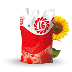 LG 50.550 CLP Yağlık Ayçiçeği Tohumu