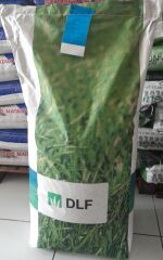 Festuca Rubra Commutata (Adi Kırmızı Yumak) Çim Tohumu